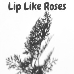Lip Like Roses