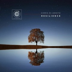 Resilience [Elastic Dimension Records]