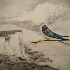 Augury (Oh Bird! with lion oil)