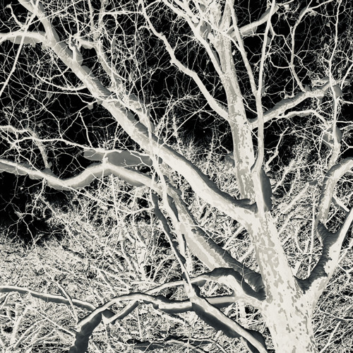 ASAGATA YUKI NO SEKAI