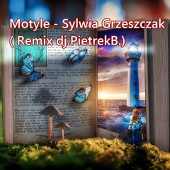 Motyle - Sylwia Grzeszczak ( Remix dj.PietrekB.)