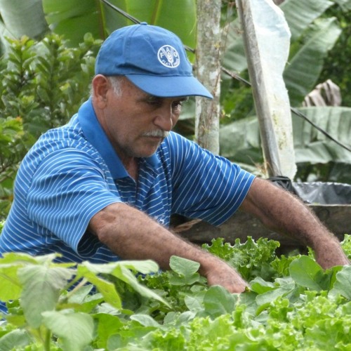 Costa Rica's journey towards sustainable food systems