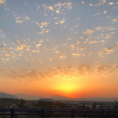 بلقيس - قدر