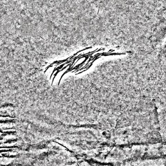 Noclip Through The Floor better mix <?> 2023