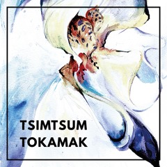 FRA-V005 - Tsimtsum - Tokamak EP