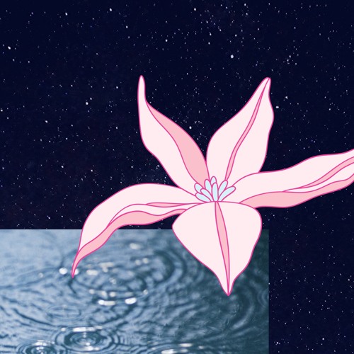 lotus