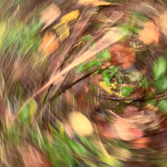 нарочно (prod flance)