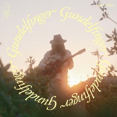 libre ft. Amber Aymara