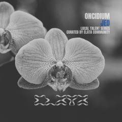 Oncidium 07 | Jed