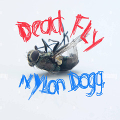 Dead Fly — 3.2.24 [NYLON DOGG]