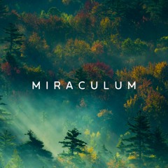 The Best Of MiraculuM (2010-)