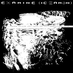 examine-plain-261-2025-06-25-premiere((XMN03))