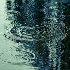 大崎剛 - INTHERAINSTOOM