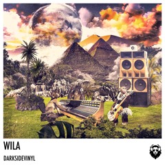 Darksidevinyl - Wila