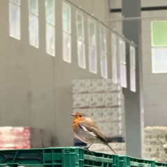 Can’t find the way