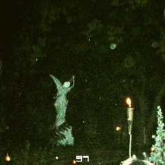 Back in '21 / Lynhurst