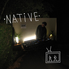 Interpreter Required 06 - Native