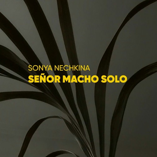 Stream Señor Macho Solo by Sonya Nechkina | Listen online for free on  SoundCloud