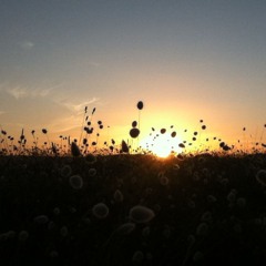 Dear Prudence