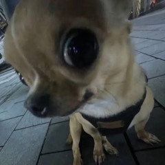 thangmayemnhotune
