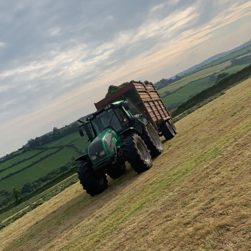 Drops of Green - On the Carousel