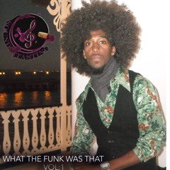 WHAT THE FUNK WAS THAT VOL:1