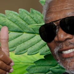 Morgan Freeman Vs Virtual Riot & Eptic (KS Dubstep Mashup)