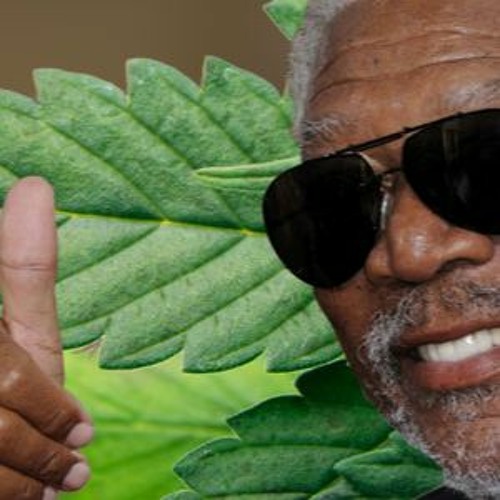 Morgan Freeman Vs Virtual Riot & Eptic (KS Dubstep Mashup)