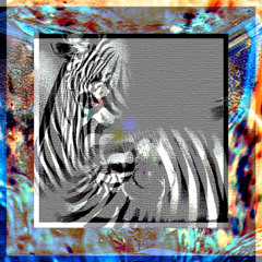_wompus 98bpm @prod.tohka