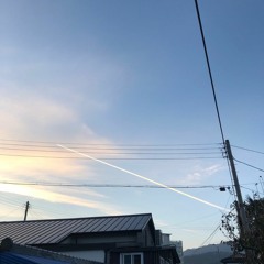 엘리자베스 remix 인 것