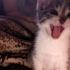 проблема хз prod. vipex & zestymain