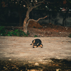 Return on Investment 400