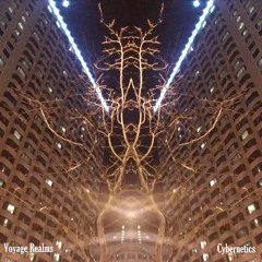 Otaku (Cybernetics EP Out Now. Purchase here: voyagerealms.bampcamp.com/album/cybernetics)