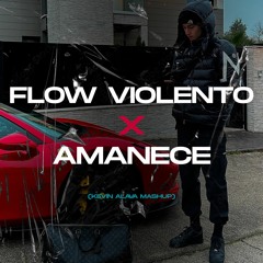 Plex x Anuel - Flow Violento Remix (TikTok) x Amanece (Extended Mashup) 100 Bpm