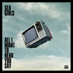 All I Want To Hear You Say (Single Version)