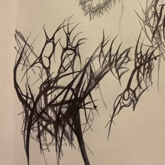 Sarasota (Prod.  Mrod)