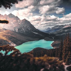 Unko san - FREE DOWNLOAD