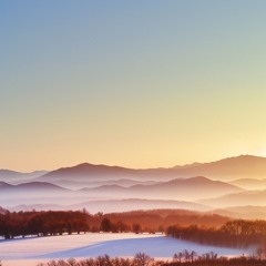 Adagio In D For Strings Dtv.wav