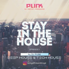 Deep House VS Tech House 2020 Mix - DJ Plink (Stay in the House Episode 1)