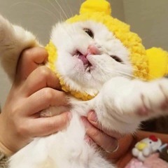 I have made the executive decision to rename this track to something less drastic