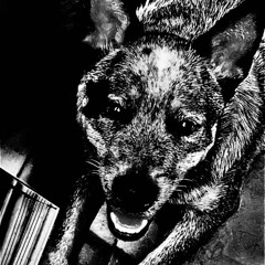 01 backtoconfidential