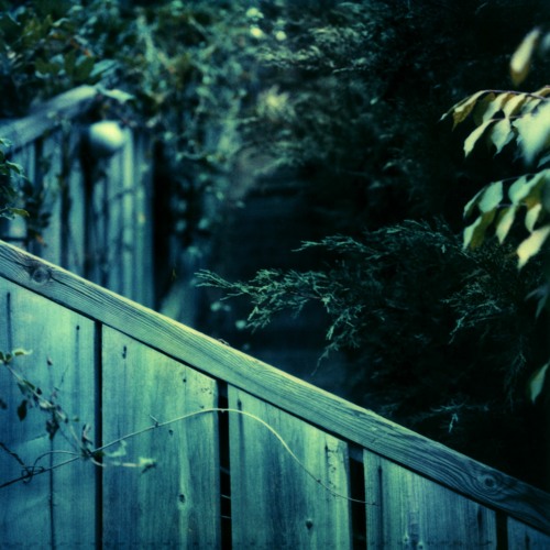 Somfay - Falling Up In Cycles