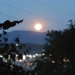 purpurová nitka obopína moju krčnú chrbticu