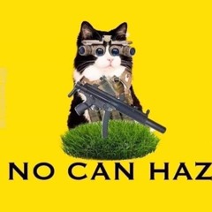 Shall Not