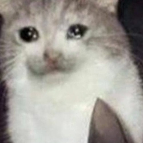 When you put down your glasses for 5 minutes