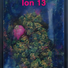 ion 13