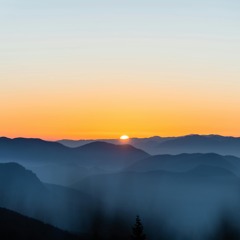 Sunny Morning