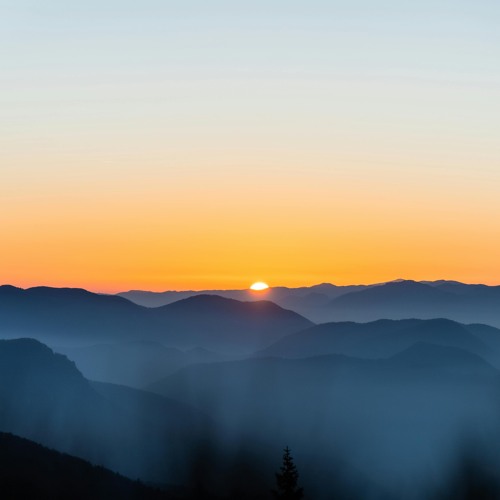 Sunny Morning