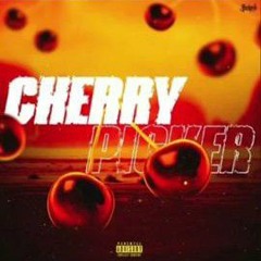 ChrispyD & Gavin Magnus - cherry picker (Official Audio)