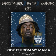 Will.i.am - I Got It From My Mama (Gabriel Wittner, BIG TIM, Slenderino Remix)(Radio Mix)